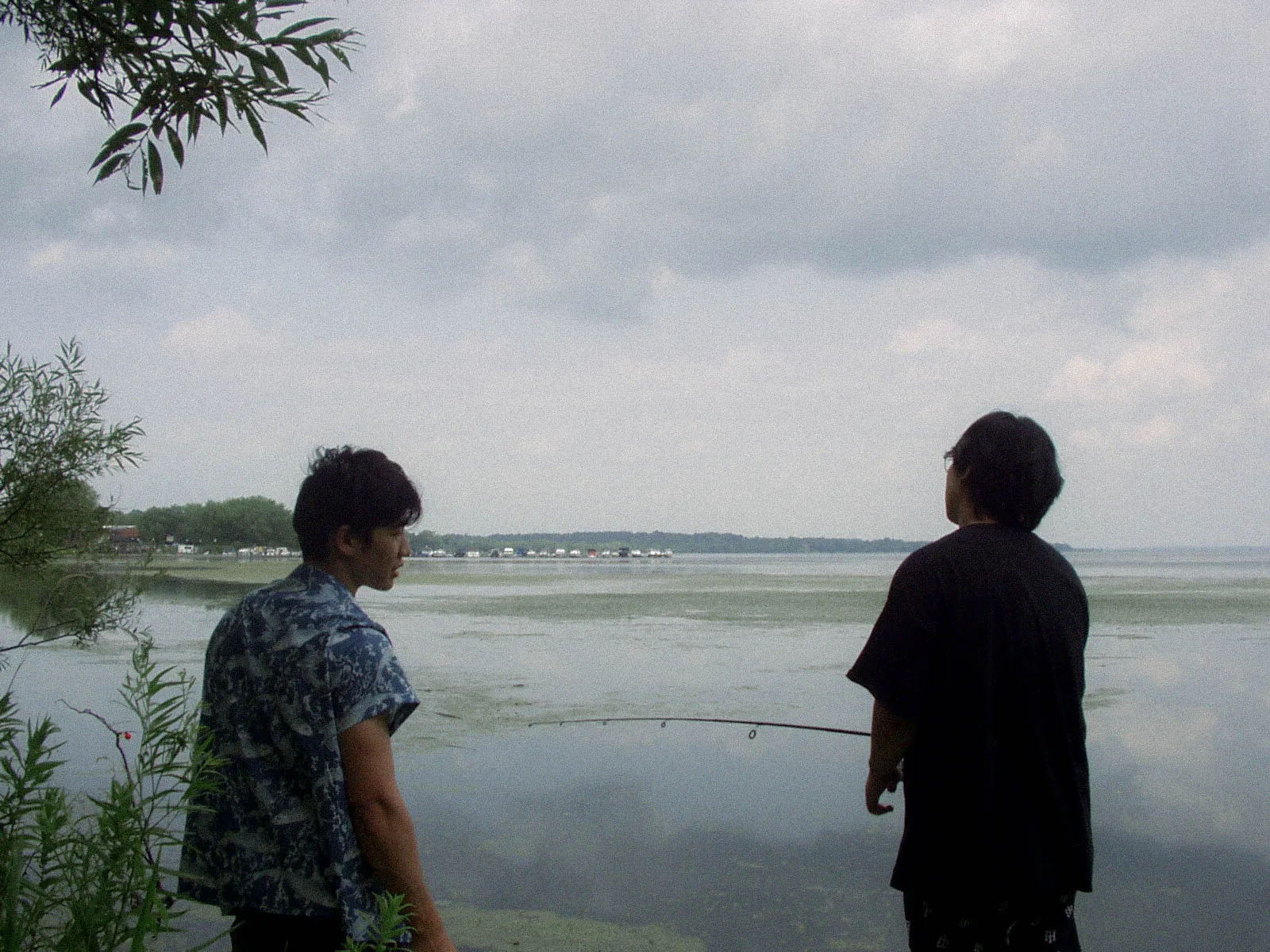 P7260037.webp