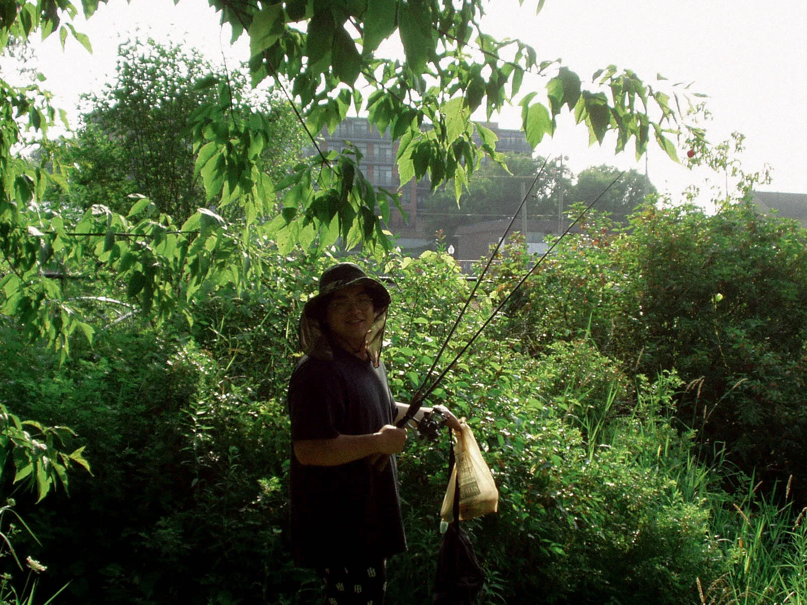 P7260075.webp