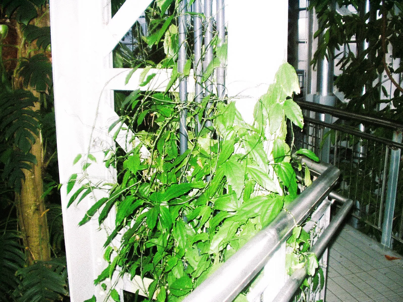PB220080.webp
