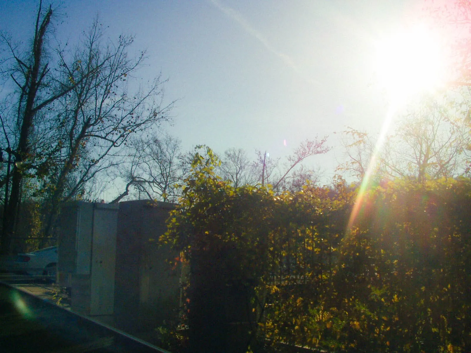 PB250099.webp