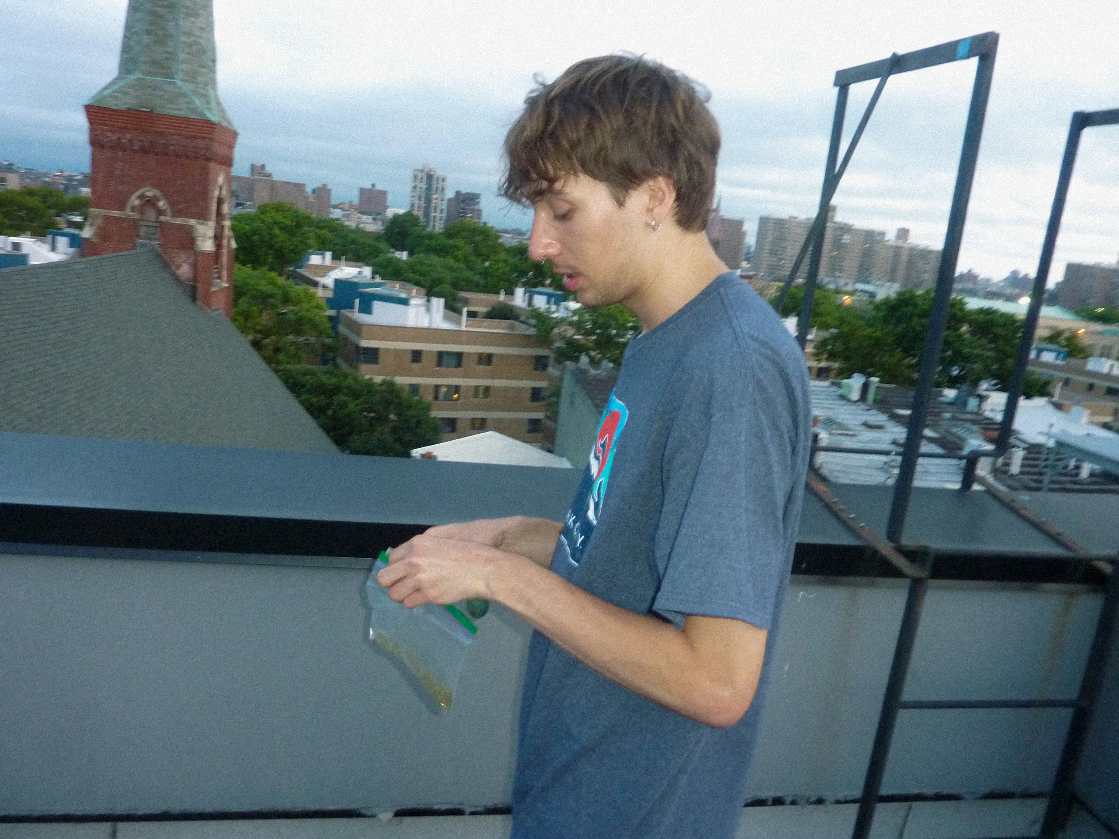 P1080355.webp
