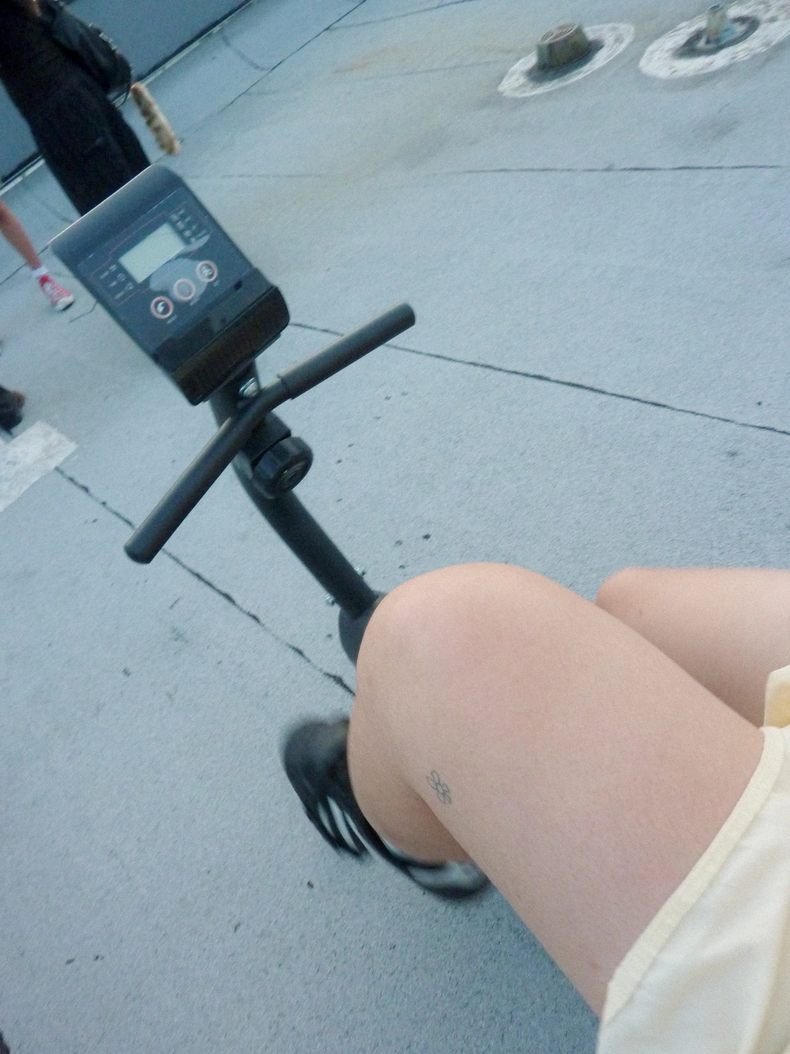 P1080366.webp